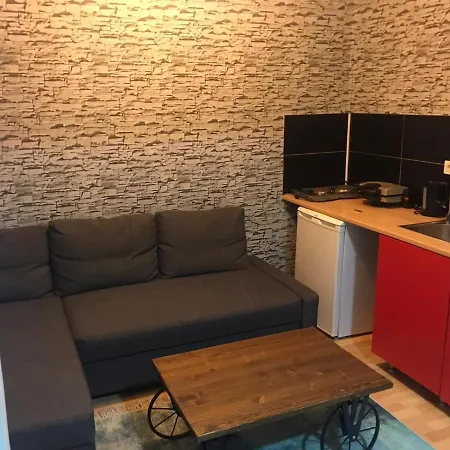 Hygienic Budget Central 40 50 Square Meters With Garden Istambul